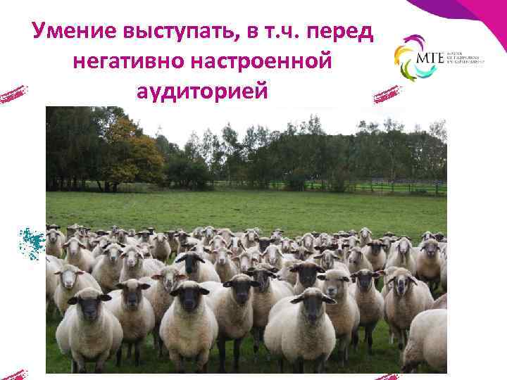 Умение выступать, в т. ч. перед негативно настроенной аудиторией 