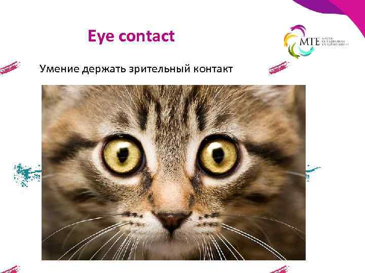 Eye contact Умение держать зрительный контакт 