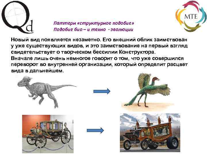 Паттерн «структурное подобие» Подобие био – и техно - эволюции Новый вид появляется незаметно.