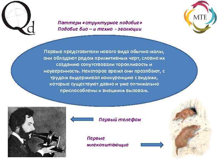 Паттерн «структурное подобие» Подобие био – и техно - эволюции Первые представители нового вида