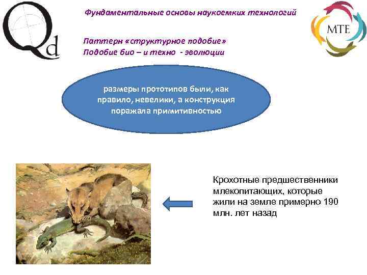 Фундаментальные основы наукоемких технологий Паттерн «структурное подобие» Подобие био – и техно - эволюции