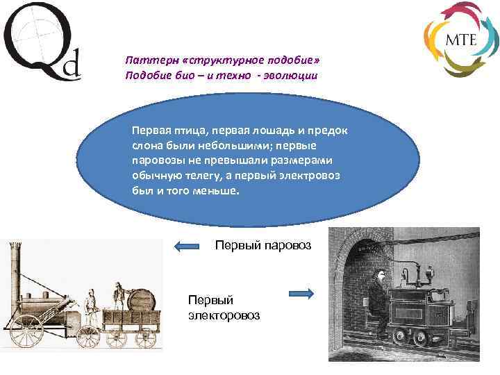 Паттерн «структурное подобие» Подобие био – и техно - эволюции Первая птица, первая лошадь