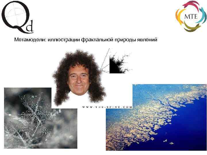 Метамодели: иллюстрации фрактальной природы явлений 