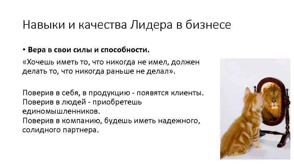 Навыки и качества Лидера в бизнесе • Вера в свои силы и способности. «Хочешь