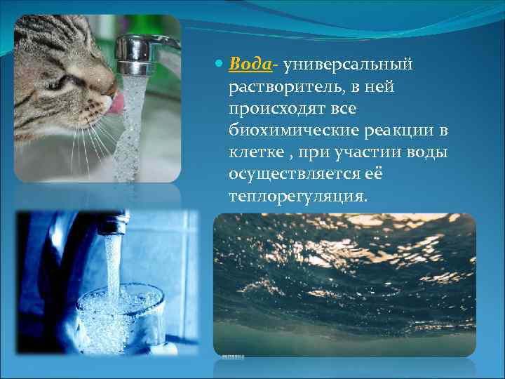  Вода- универсальный растворитель, в ней происходят все биохимические реакции в клетке , при