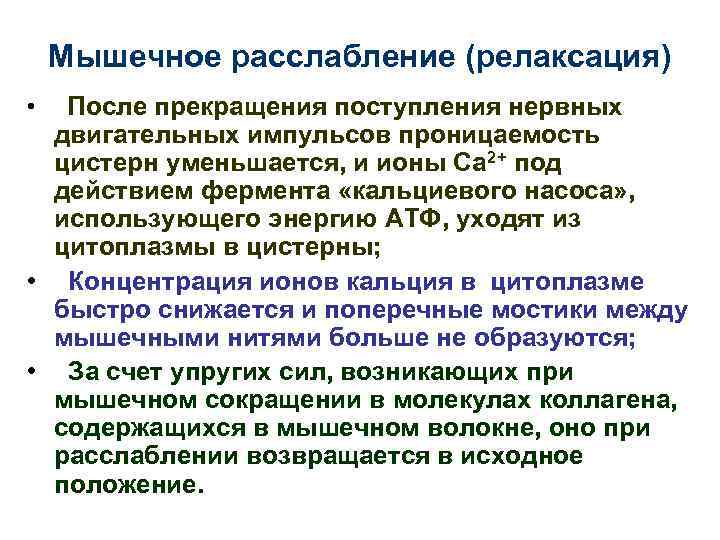 Мышечное расслабление (релаксация) После прекращения поступления нервных двигательных импульсов проницаемость цистерн уменьшается, и ионы