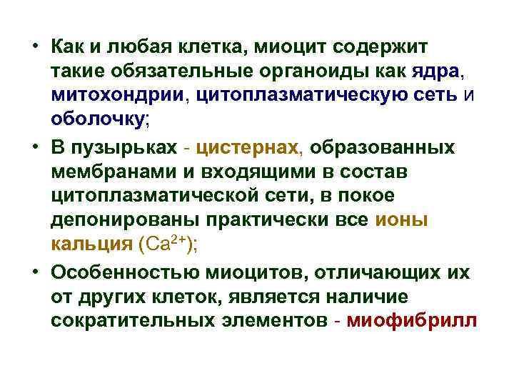  • Как и любая клетка, миоцит содержит такие обязательные органоиды как ядра, митохондрии,