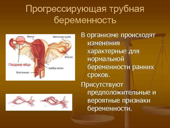 Нормальная беременность клинические рекомендации презентация