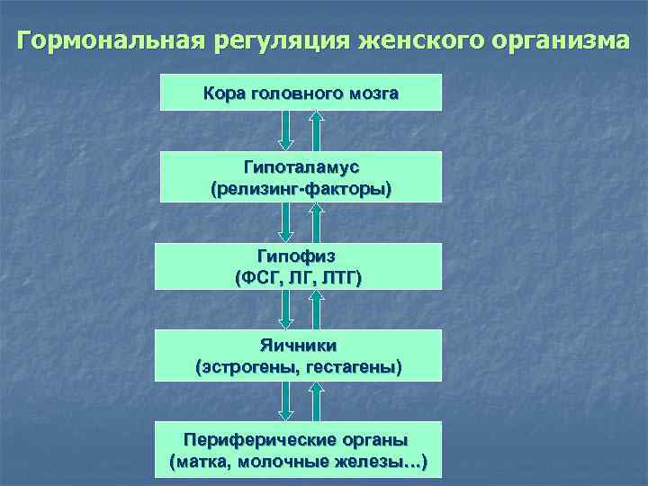 Гормональная регуляция женского организма Кора головного мозга Гипоталамус (релизинг-факторы) Гипофиз (ФСГ, ЛТГ) Яичники (эстрогены,