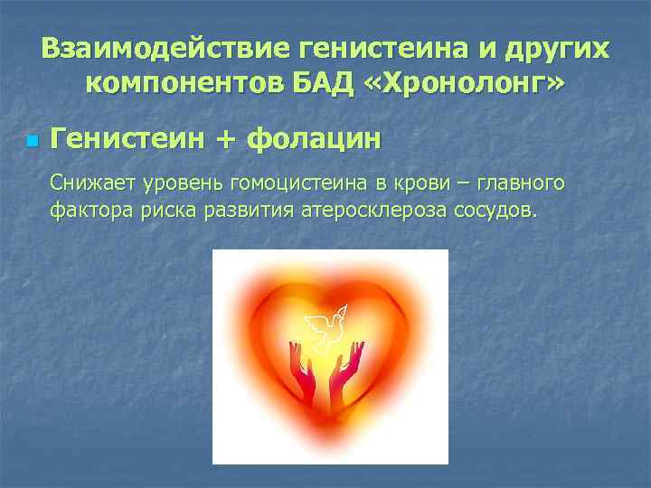 Взаимодействие генистеина и других компонентов БАД «Хронолонг» n Генистеин + фолацин Снижает уровень гомоцистеина
