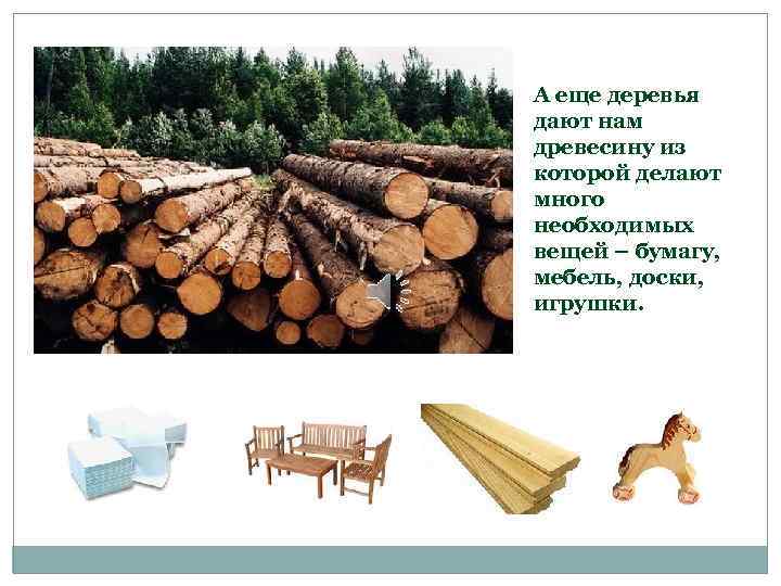 А еще деревья дают нам древесину из которой делают много необходимых вещей – бумагу,