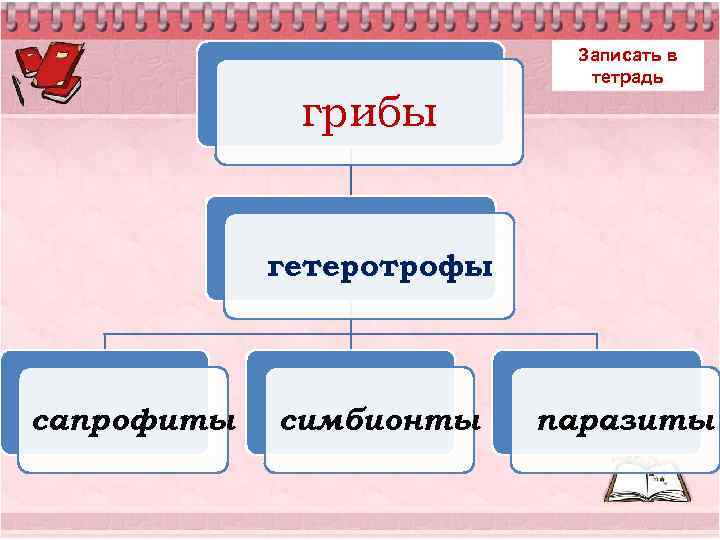 грибы Записать в тетрадь гетеротрофы сапрофиты симбионты паразиты 