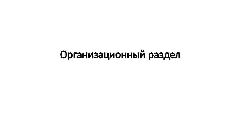 Организационный раздел 