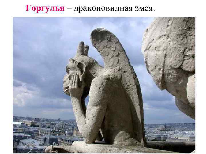 Горгулья – драконовидная змея. 