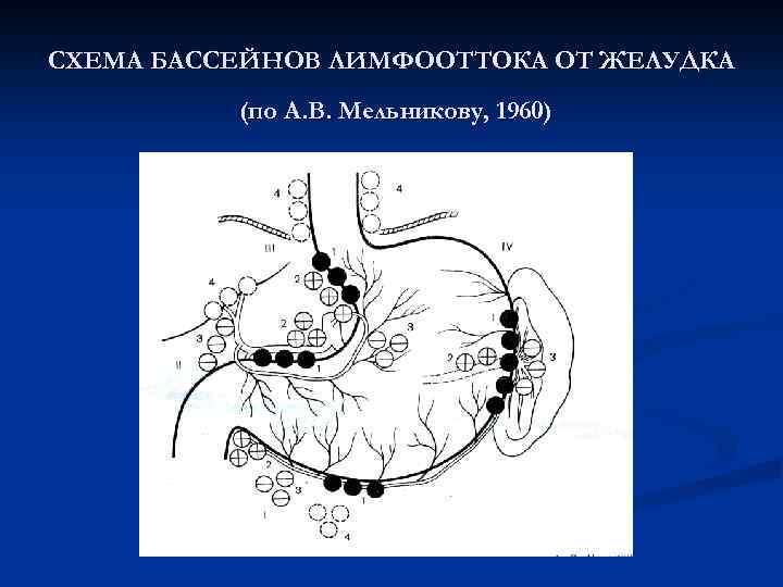 СХЕМА БАССЕЙНОВ ЛИМФООТТОКА ОТ ЖЕЛУДКА (по А. В. Мельникову, 1960) 