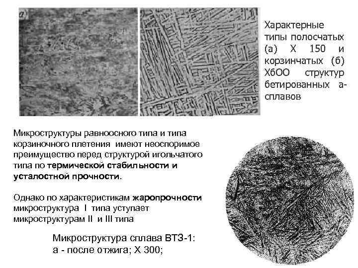 Микроструктуры клеток окрашенные в оранжевый цвет