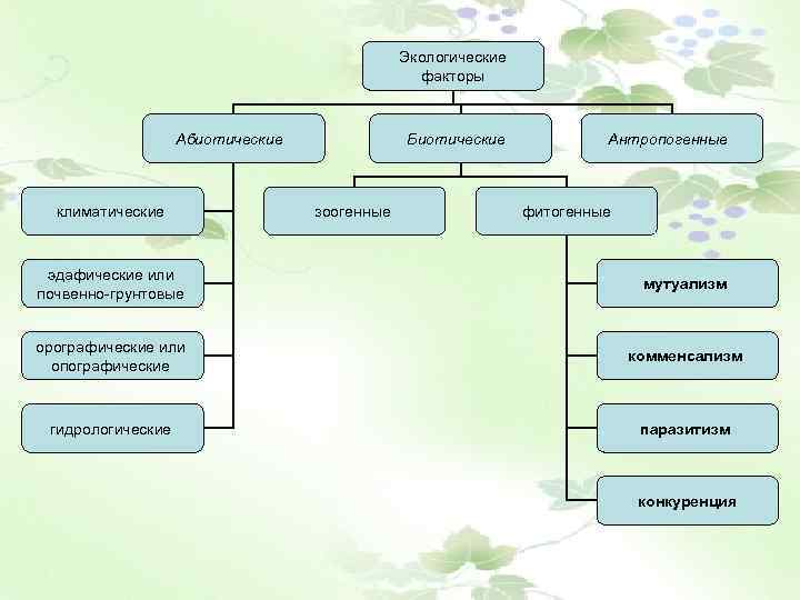 Экологические факторы Абиотические климатические Биотические зоогенные Антропогенные фитогенные эдафические или почвенно-грунтовые мутуализм орографические или