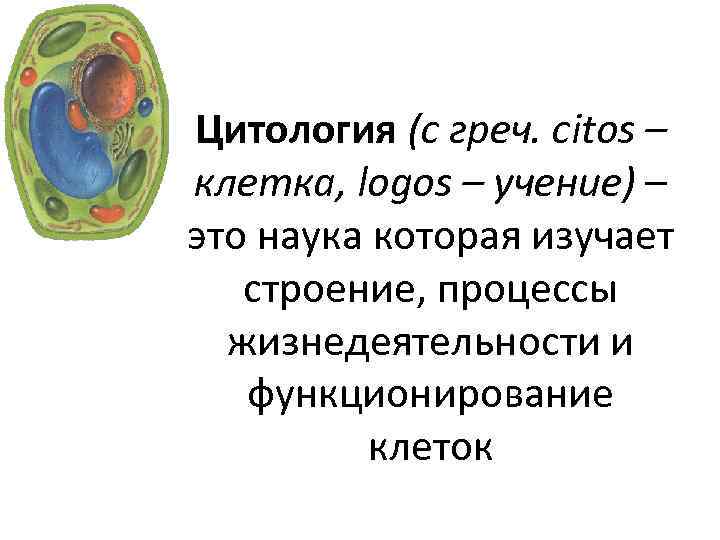 Цитология (с греч. сitos – клетка, logos – учение) – это наука которая изучает