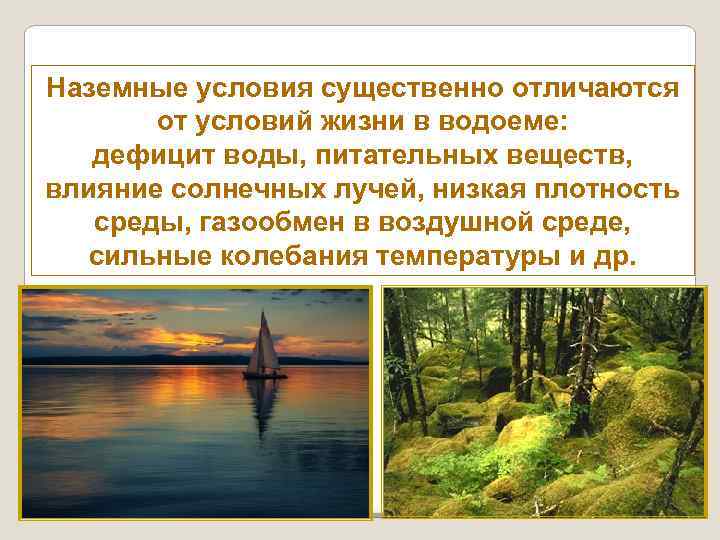 Наземные условия существенно отличаются от условий жизни в водоеме: дефицит воды, питательных веществ, влияние