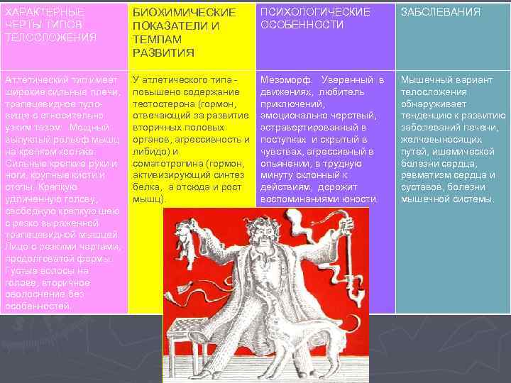 ХАРАКТЕРНЫЕ ЧЕРТЫ ТИПОВ ТЕЛОСЛОЖЕНИЯ БИОХИМИЧЕСКИЕ ПОКАЗАТЕЛИ И ТЕМПАМ РАЗВИТИЯ ПСИХОЛОГИЧЕСКИЕ ОСОБЕННОСТИ ЗАБОЛЕВАНИЯ Атлетический тип