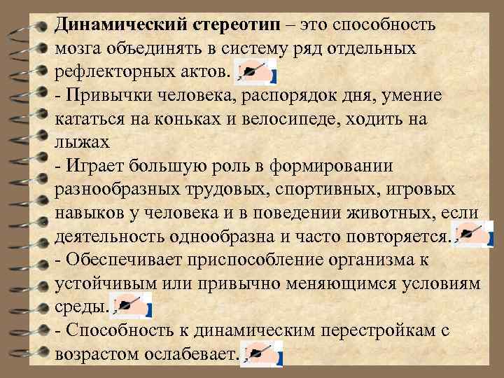 Динамический стереотип – это способность мозга объединять в систему ряд отдельных рефлекторных актов. -