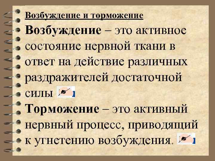 Возбуждение и торможение Возбуждение – это активное состояние нервной ткани в ответ на действие