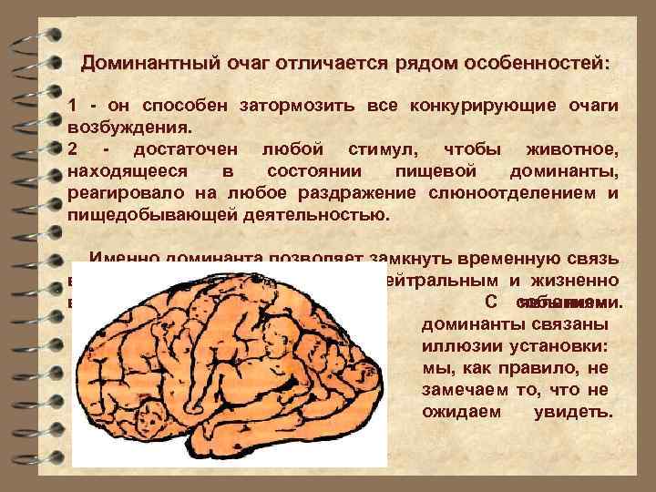 Доминантный очаг отличается рядом особенностей: 1 - он способен затормозить все конкурирующие очаги возбуждения.