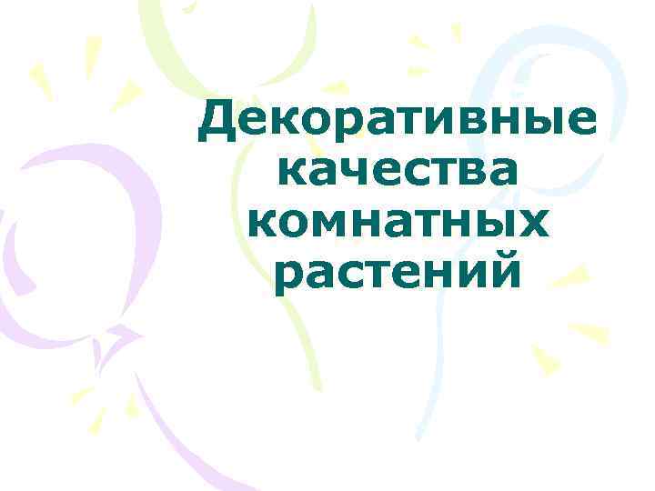 Декоративные качества комнатных растений 