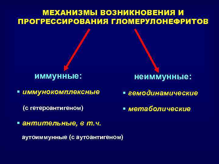 Схема иммунокомплексного повреждения клубочков