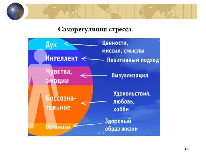 Саморегуляция стресса 13 