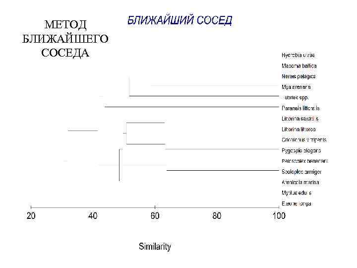 МЕТОД БЛИЖАЙШЕГО СОСЕДА 