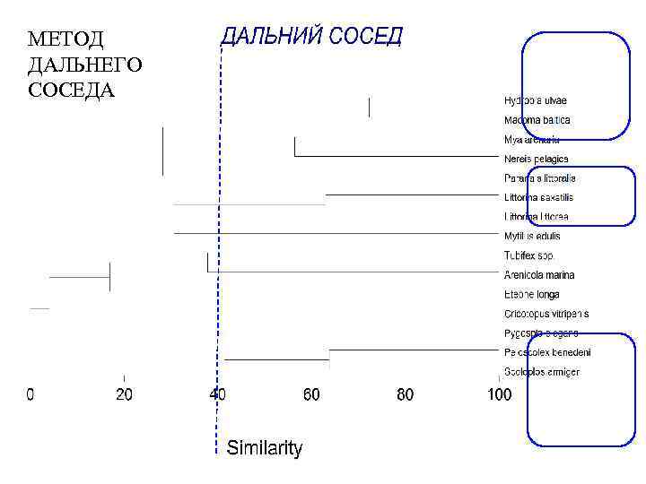 МЕТОД ДАЛЬНЕГО СОСЕДА 