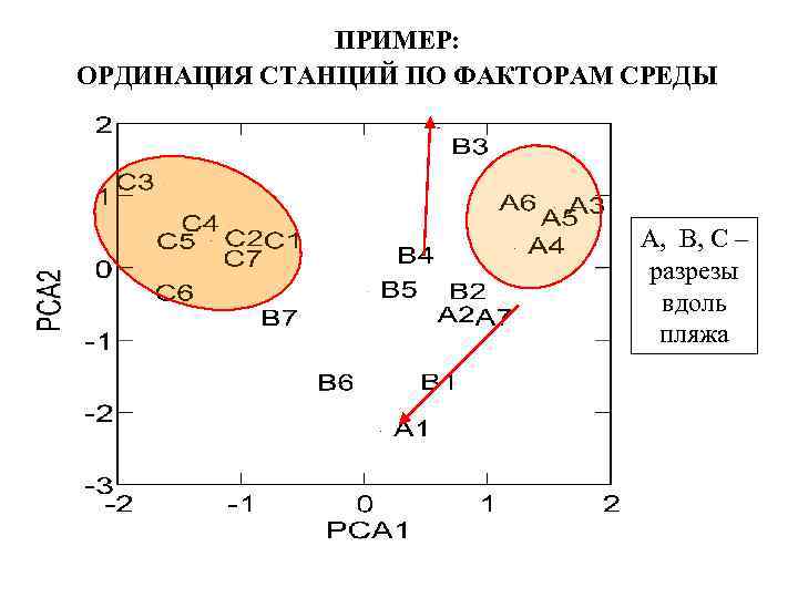 ПРИМЕР: ОРДИНАЦИЯ СТАНЦИЙ ПО ФАКТОРАМ СРЕДЫ A, B, C – разрезы вдоль пляжа 