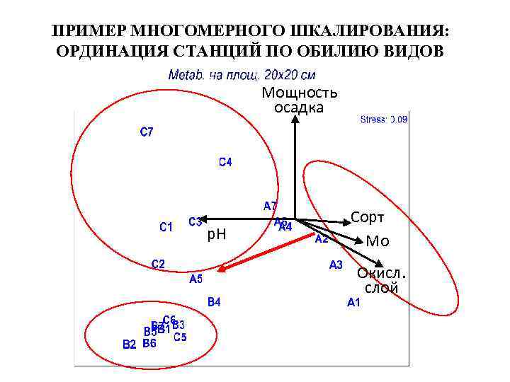 ПРИМЕР МНОГОМЕРНОГО ШКАЛИРОВАНИЯ: ОРДИНАЦИЯ СТАНЦИЙ ПО ОБИЛИЮ ВИДОВ Мощность осадка p. H Сорт Мо