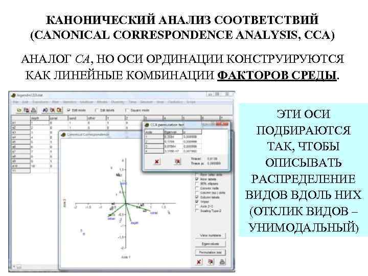КАНОНИЧЕСКИЙ АНАЛИЗ СООТВЕТСТВИЙ (CANONICAL CORRESPONDENCE ANALYSIS, CCA) АНАЛОГ СА, НО ОСИ ОРДИНАЦИИ КОНСТРУИРУЮТСЯ КАК