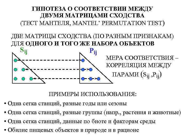 ГИПОТЕЗА О СООТВЕТСТВИИ МЕЖДУ ДВУМЯ МАТРИЦАМИ СХОДСТВА (ТЕСТ МАНТЕЛЯ, MANTEL’ PERMUTATION TEST) ДВЕ МАТРИЦЫ