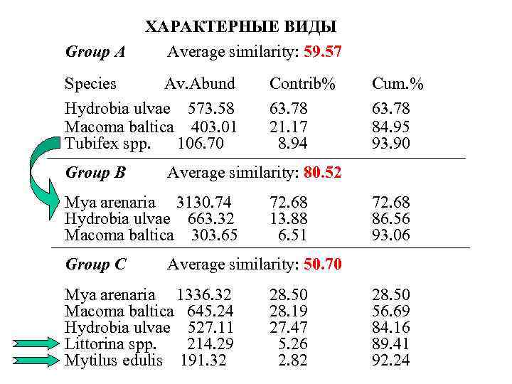 Group A ХАРАКТЕРНЫЕ ВИДЫ Average similarity: 59. 57 Species Av. Abund Hydrobia ulvae 573.