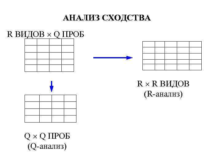 АНАЛИЗ СХОДСТВА R ВИДОВ Q ПРОБ R R ВИДОВ (R-анализ) Q Q ПРОБ (Q-анализ)