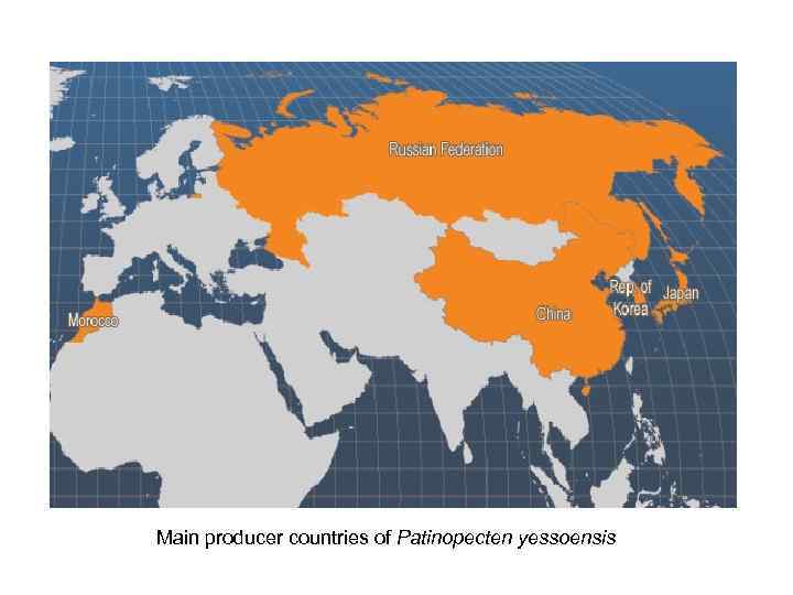Main producer countries of Patinopecten yessoensis 