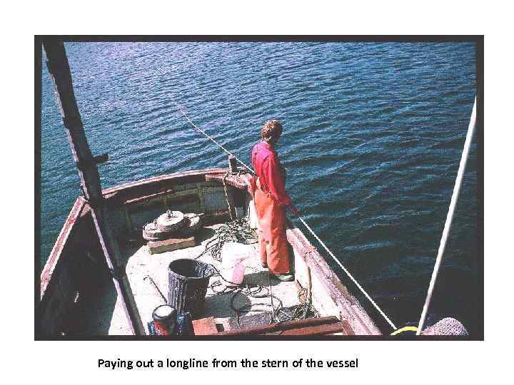 Paying out a longline from the stern of the vessel 