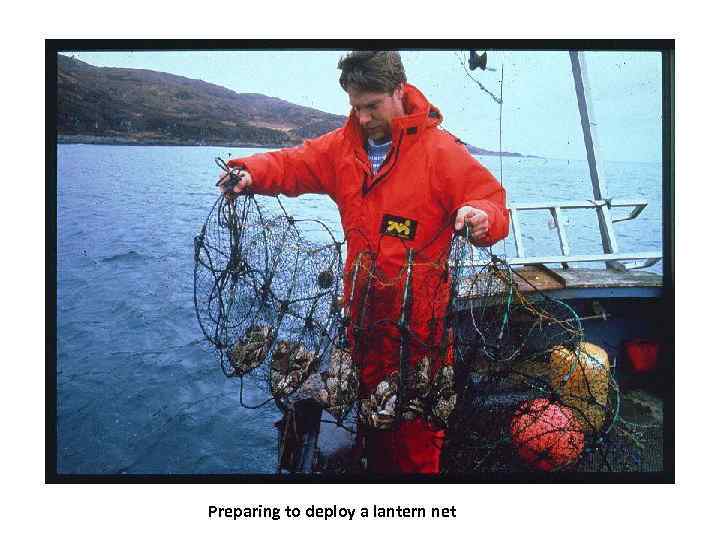 Preparing to deploy a lantern net 