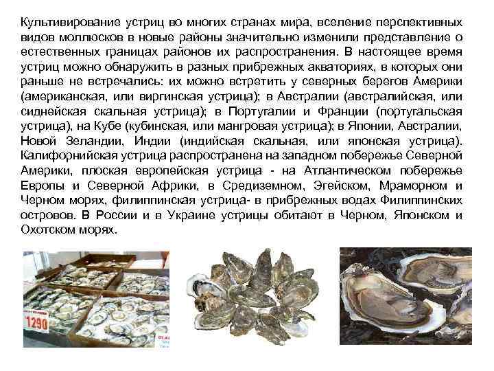 Культивирование устриц во многих странах мира, вселение перспективных видов моллюсков в новые районы значительно