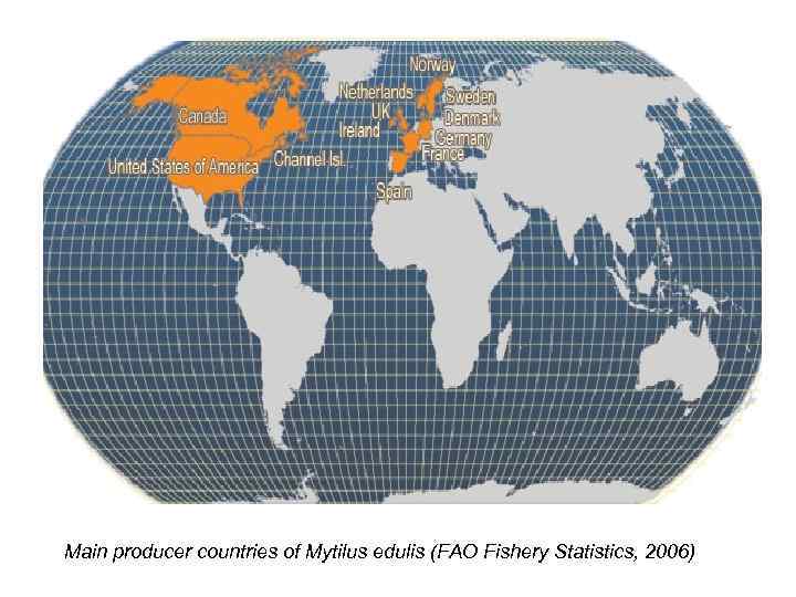 Main producer countries of Mytilus edulis (FAO Fishery Statistics, 2006) 