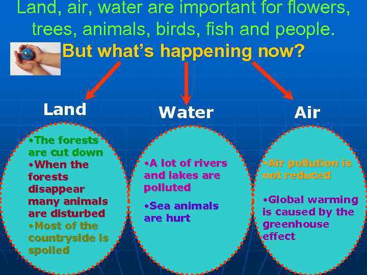 Land, air, water are important for flowers, trees, animals, birds, fish and people. But