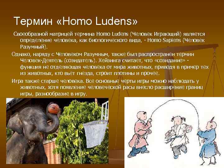 Термин «Ноmo Ludens» Своеобразной матрицей термина Homo Ludens (Человек Играющий) является определение человека, как