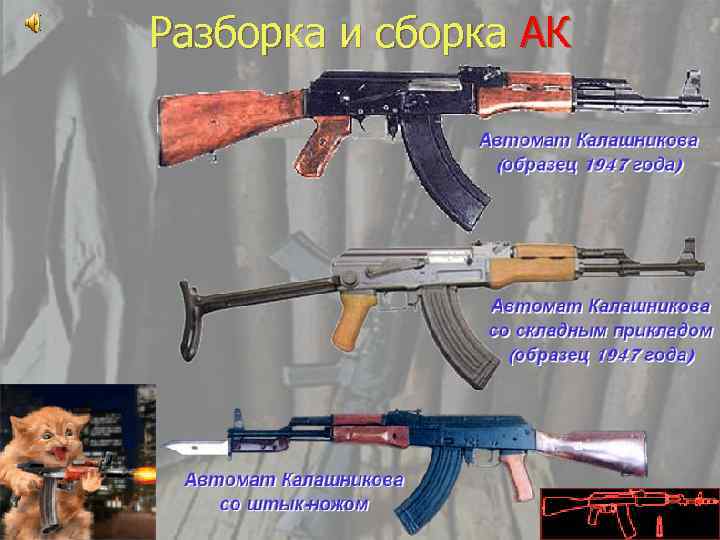 Разборка и сборка АК 