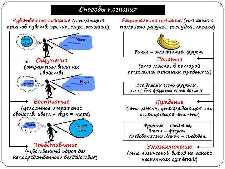Способы познания Чувственное познание (с помощью органов чувств: зрение, слух, осязание) Синий цвет Рациональное