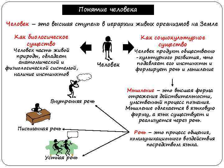 Понятие человека Человек – это высшая ступень в иерархии живых организмов на Земле Как