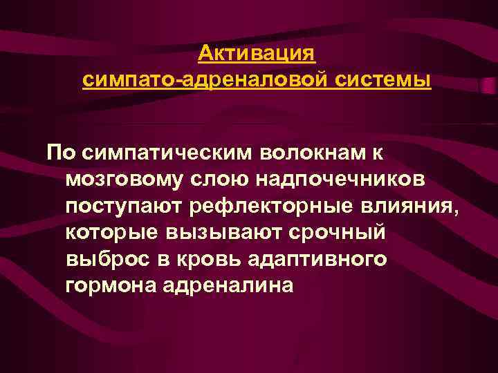 Симпато адреналовая система презентация