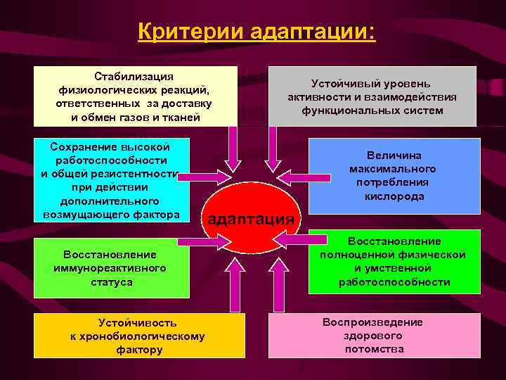 Критерии адаптации: Стабилизация физиологических реакций, ответственных за доставку и обмен газов и тканей Сохранение